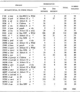 TABLE 4 