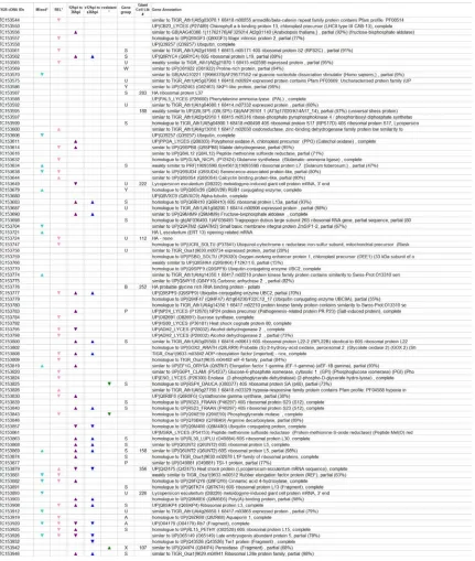 Table S3.1: Gene IDs and Annotations, Direction Change of Significant Genes. Gene IDs and most Annotations according to TIGR LeGI