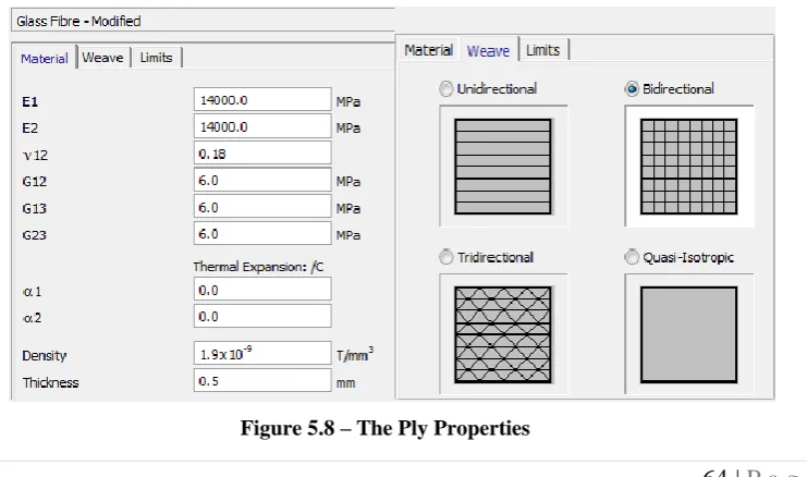 Figure 5.7 – The Wing Mesh 