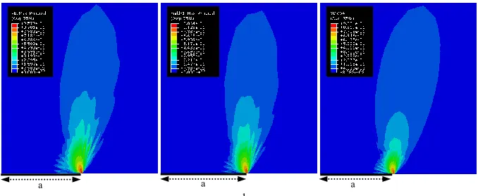 Fig.3   Maximum principal plastic strain for a single edge cracked plate subjected to cyclic tensile loading with a/W = 0.075 (a)ABAQUS result from monotonic case (b)ABAQUS result from step-by-step cyclic loading case (c)LMM result for cyclic loading case 