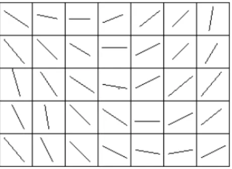 Figure 2.6: idealised topographical organisation of orientation  sensitive neurons in layer IV of V1