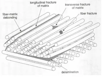 Figure 1.1 Common Failure mechanisms in a composite laminate [3] 