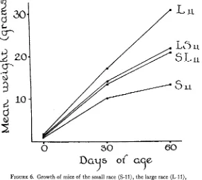 FIGURE 6. Growth of mice of the small race (S-11), the large race (L-11), and of their hyhrids (LS from large mother and small father)