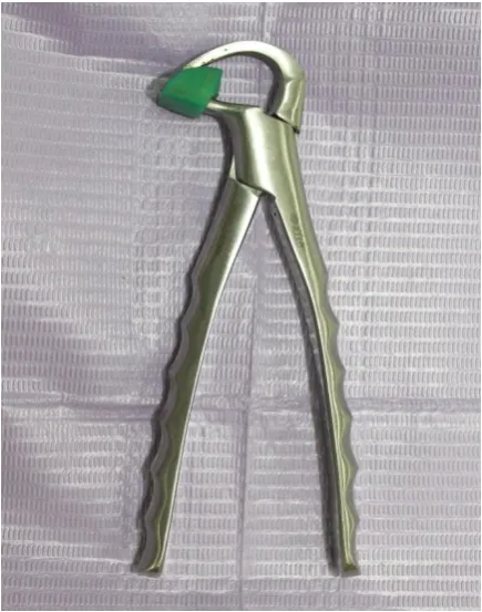 Fig 7.Mandibular universal physics forceps 