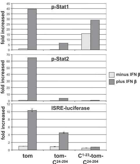 FIG. 2. C protein constructs containing TOM between residues 23and 24 are biologically active