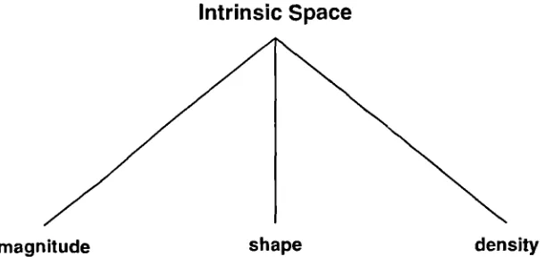 Figure 1.1: Intrinsic space.