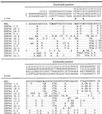 Figure 2.—List of 92 polymorphicsites identiﬁed across 1852 bp of13 lines ofbsible forphisms, respectively