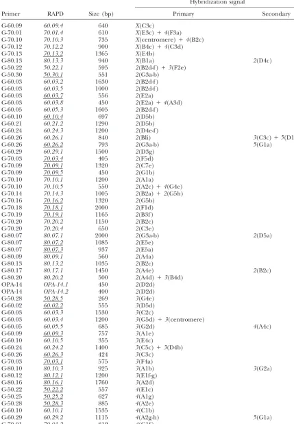 TABLE 2