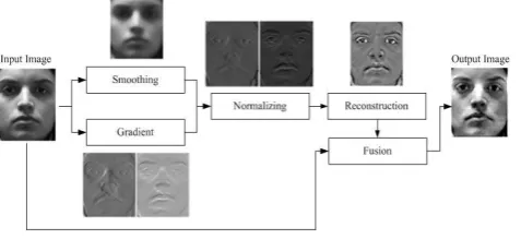 Fig 1. Pre-processing Stages 