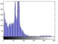 Fig 3. Multiple Face Models 