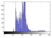Fig 5. After Wavelet-based Normalisation 