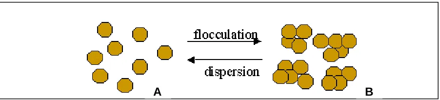 Figure 2:  Soil Particles in a Dispersed and Flocculated Condition 