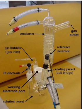 Figure 3.7 Electrochemical vessel for corrosion testing.     