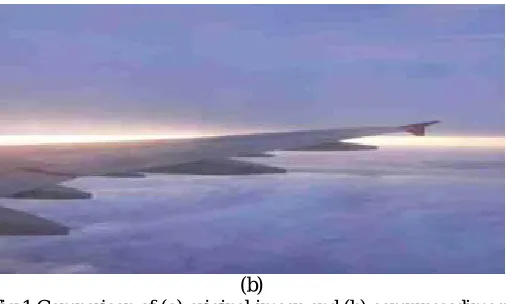 Fig 1 Comparison of (a) original image and (b) compressedimage  
