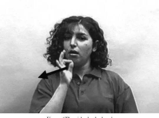 Fig. �. ‘The girl asks the boy.’