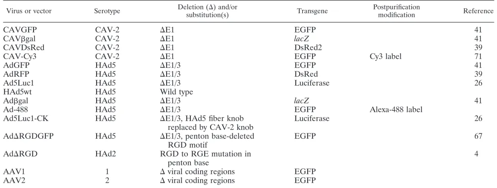 TABLE 1. Vectors and viruses