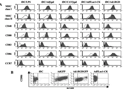 FIG. 3. hMoDC phenotype after vector exposure. (A) hMoDC were either mock treated or incubated with LPS, Ad�the highest dose of CAVafter 72 h versus 48 h of exposure (not shown)