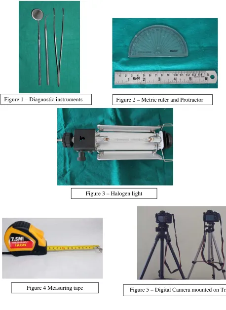 Figure 5 – Digital Camera mounted on Tripod 