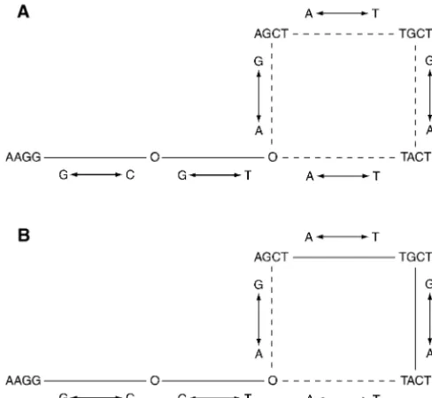 Figure 5 shows the resulting statistical parsimony net-