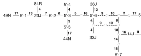 TABLE 3