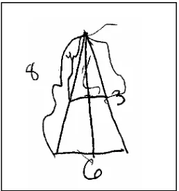 Figure 9.  Rose’s “basic” triangle. 
