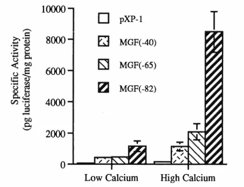 Fig. 1 Transactivation potential of endogenous C/EBP proteins in primary keratinocytes