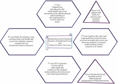 Figure 1.  Ethnicity of OSPAP population (n = 25 postgraduate students).  