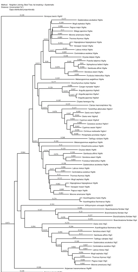 Figure 7. Vitellogenin polypeptide sequences (N=70) from an array of fishes were 