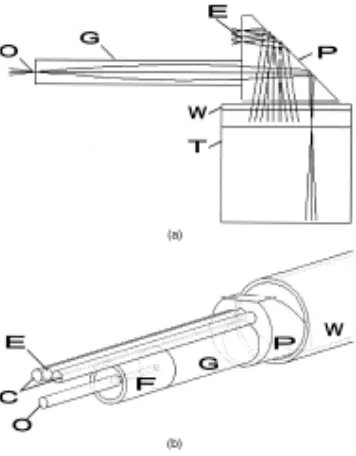 Figure 2-4:  a) shows the focused IR for OCT (O) as well as the diffuse UV illumination (E), b) model of endoscope tip [6]  