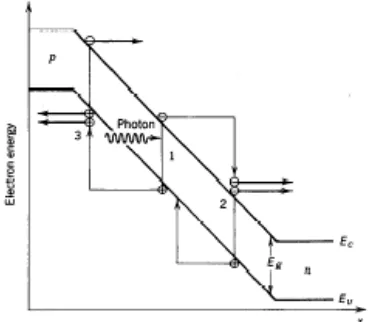 Figure 2-6:  Schematic representation of APD [10] 