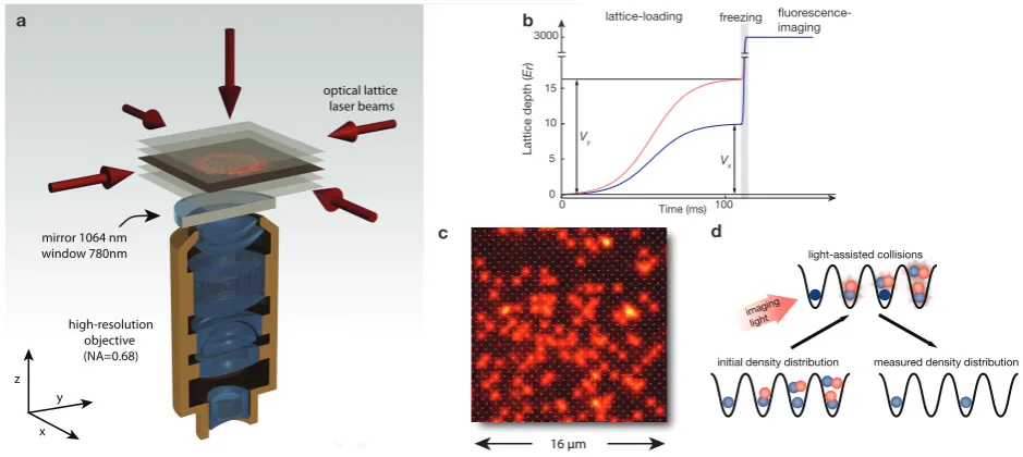 Figure 1 Experimental setup and ﬂuorescence imaging. a, Schematic image showing the optical lattice geometry,approximately 3000Vare visible with a high signal-to-noise ratio