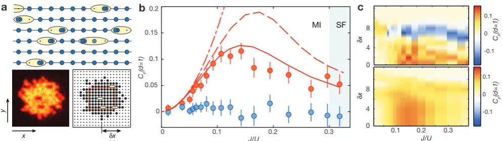 Figure 3 Nearest-neighbor correlations in 1d. a, Top panel: Schematic image of the density distribution for 0 < J/U ≪(J/U)c with parallel 1d tubes and particle-hole pairs aligned in the direction of the tubes
