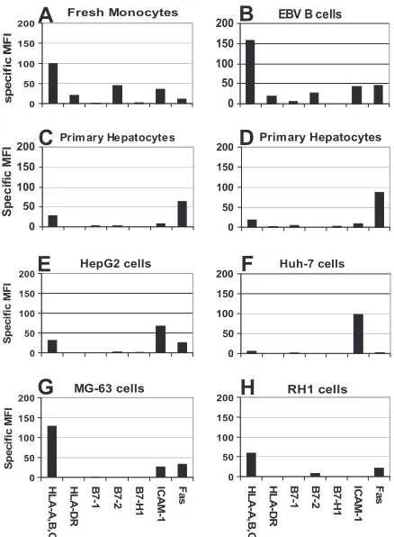 FIG. 1. Phenotypic analysis of professional antigen-presenting cellsand hepatocytes. (A) Monocytes; (B) EBV B cells; (C and D) primary