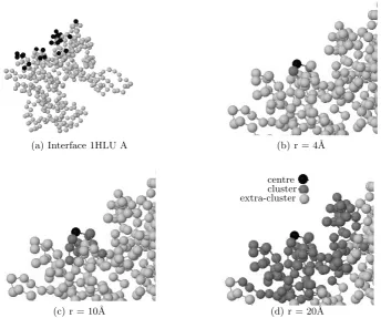 Fig. 2. Amino acid residues clustered in the spheres of varying radii surrounding asingle residue centre in the protein-protein interface