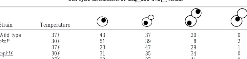 Figure 7.—Spc110p phosphorylation is defective inandchronously growing,wild-type strain (MS1554) at 30pkc1treated with 10arrest, MS1554 was treated with 5at 30the bottom arrow marks the p112 form