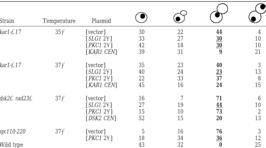TABLE 4