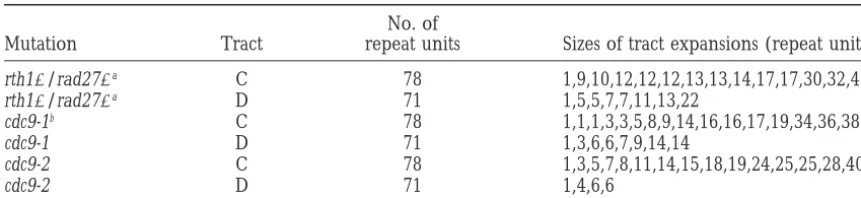 TABLE 2