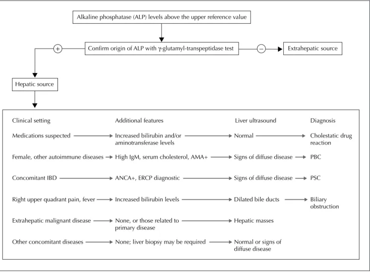 Fig. 5: Suggested diagnostic algorithm for patients presenting with increased alkaline phosphatase levels