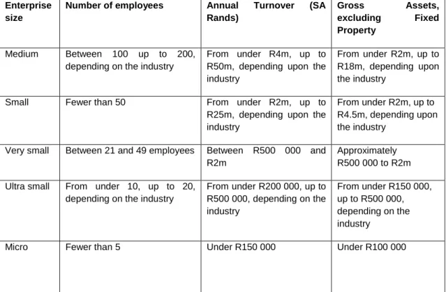 Table 2.1 Broad structure of Small, Medium and Micro Enterprises (SMMEs)  Enterprise 