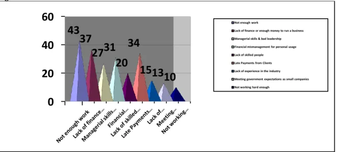 Figure 4: The main causes of small contractors to fail 