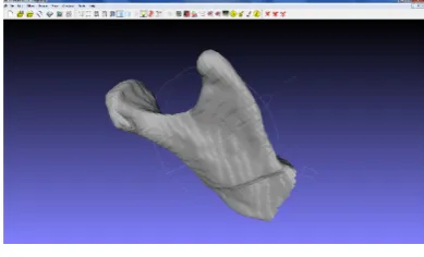 Fig. 4. Cut jawbone by the middle with a box with thickness of 5 graphic units, the faces of the box are coplanar with the planes xy, xz and yz