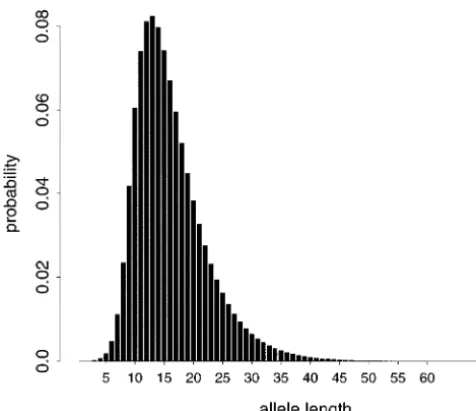 Figure 2.—Probability of sampling an allele of a givenlength.
