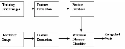Figure 1: Fruit Recognition System 