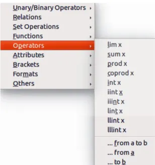 Figure 6: Context menu in Formula Editor