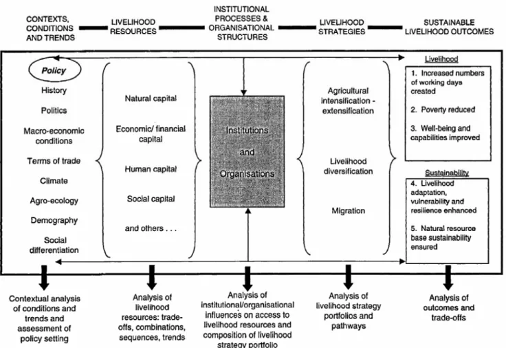 Figure 4.1: The Sustainable Livelihoods Framework (Scoones, 1998: 4) 