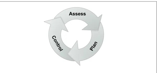 Figure 3:  Risk Management Activities 