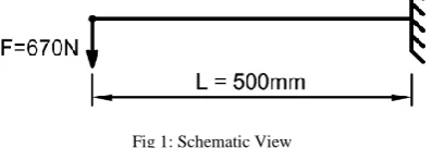 Fig 1: Schematic View 