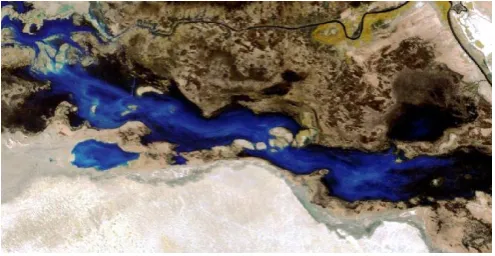 Figure (2) : Represents the The landsat image MSS for 1973 year . 