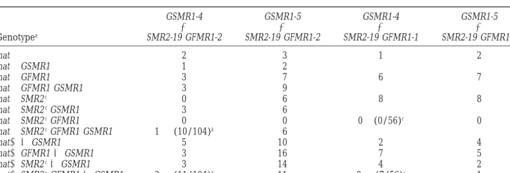TABLE 5