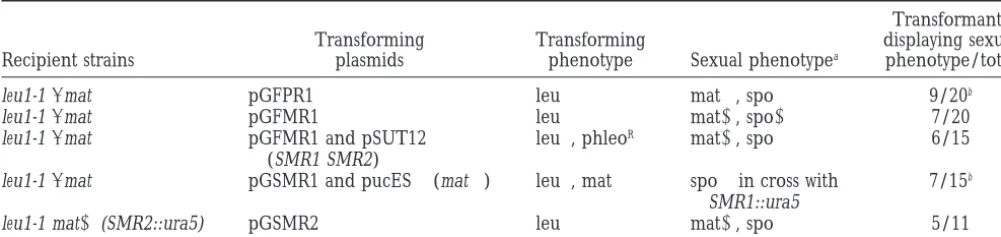 TABLE 2
